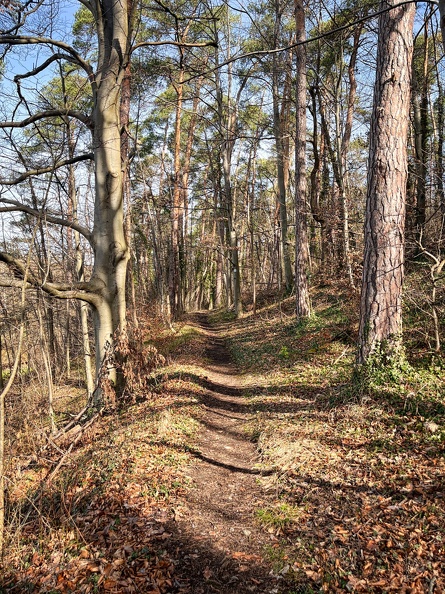 23-03-17 10-56-29 4883.jpeg